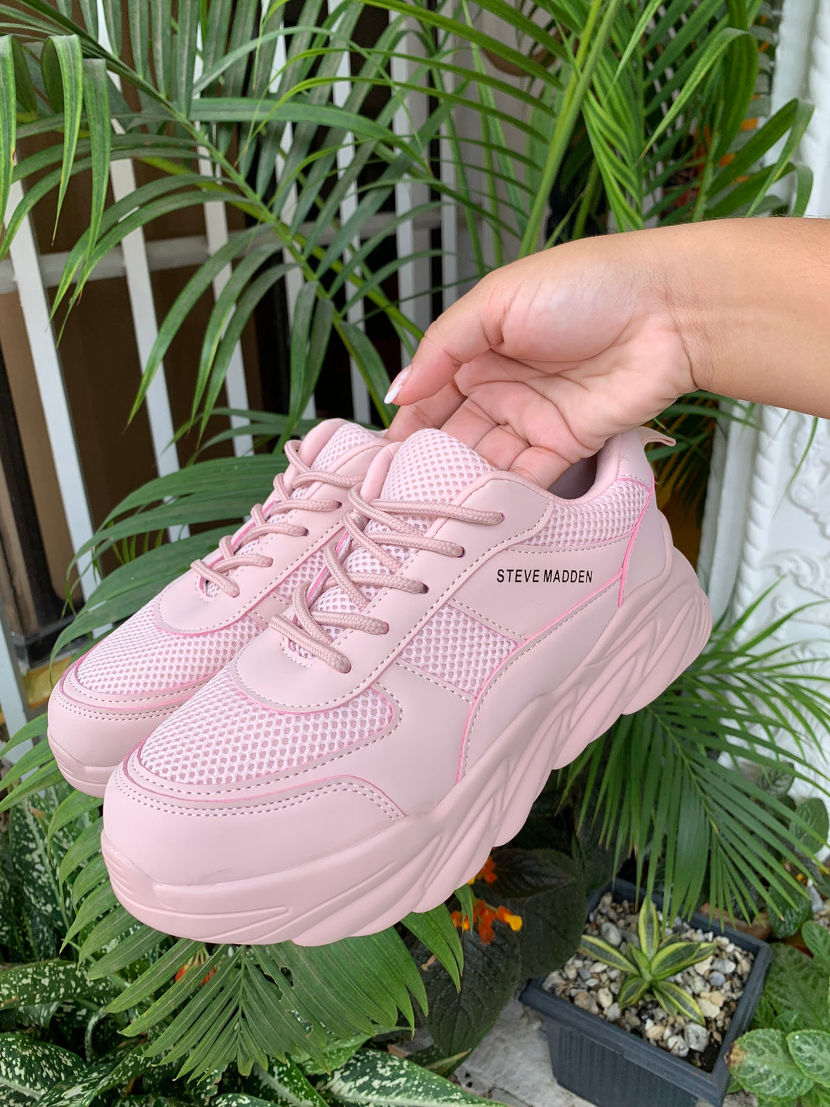 Steve Madden Women's Determined Sneakers