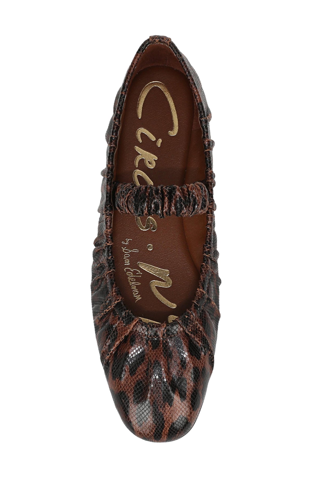 Baletas Sam Edelman – Blythe Flat